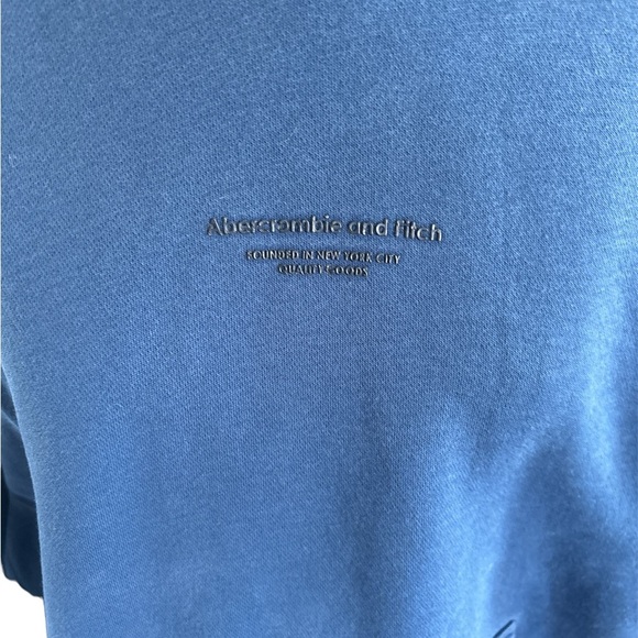 Abercrombie & Fitch Blue Hoodie - Picture 3 of 5